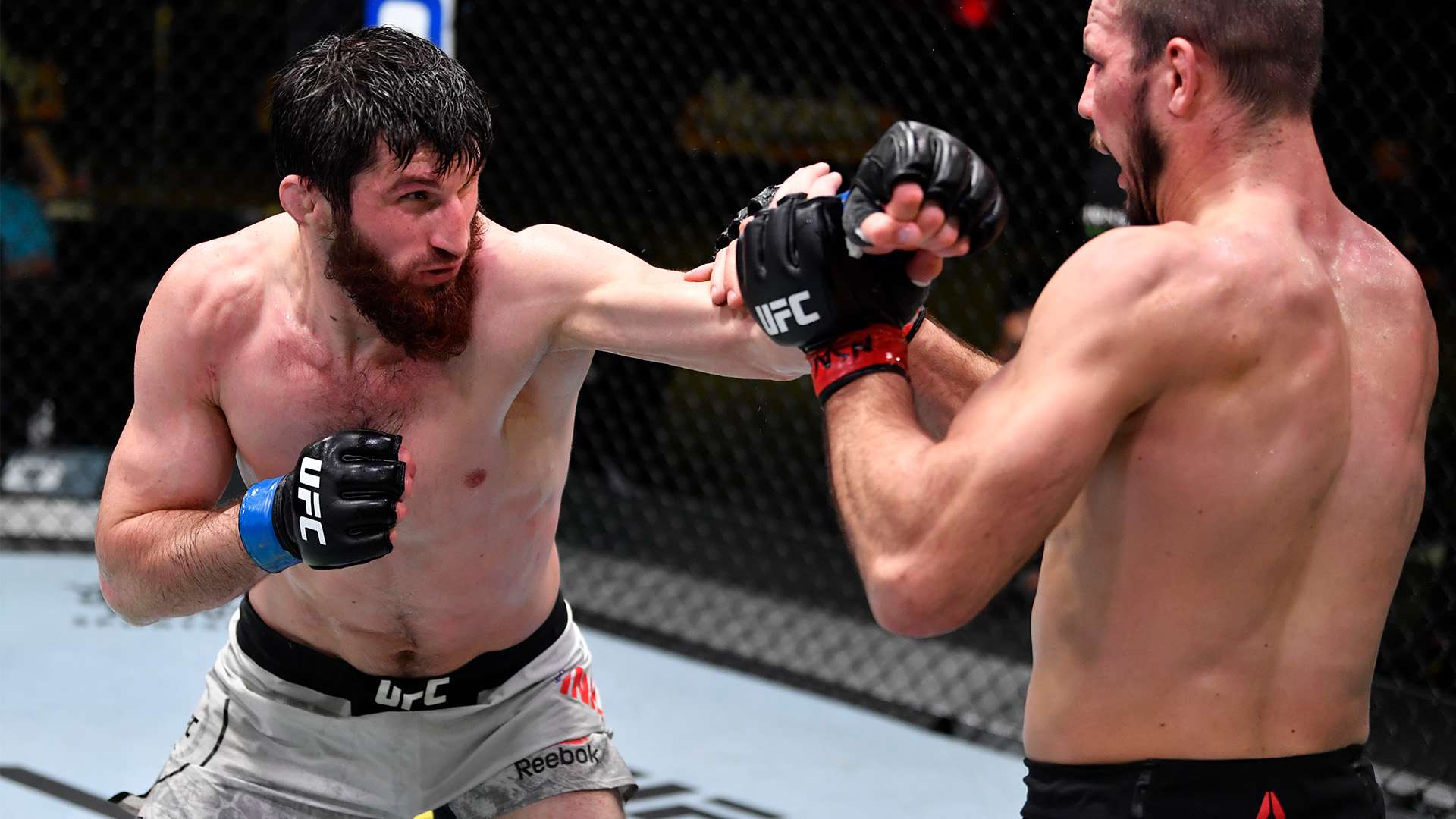 日本足坛现役最耀眼的球星